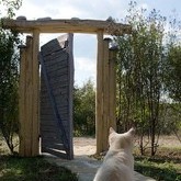 екстериор